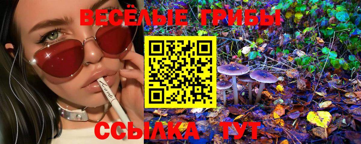 Псилоцибиновые грибы прущие грибы  Галлюциногенные грибы мухоморы  Вход с VPN  Чистополь 